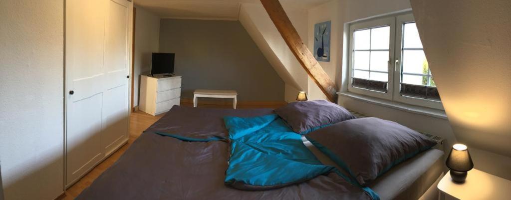 Schoene Grosse Wohnung, Terrasse, Kamin, Parkplatz, 2 Schlafzimmer Greifswald Buitenkant foto